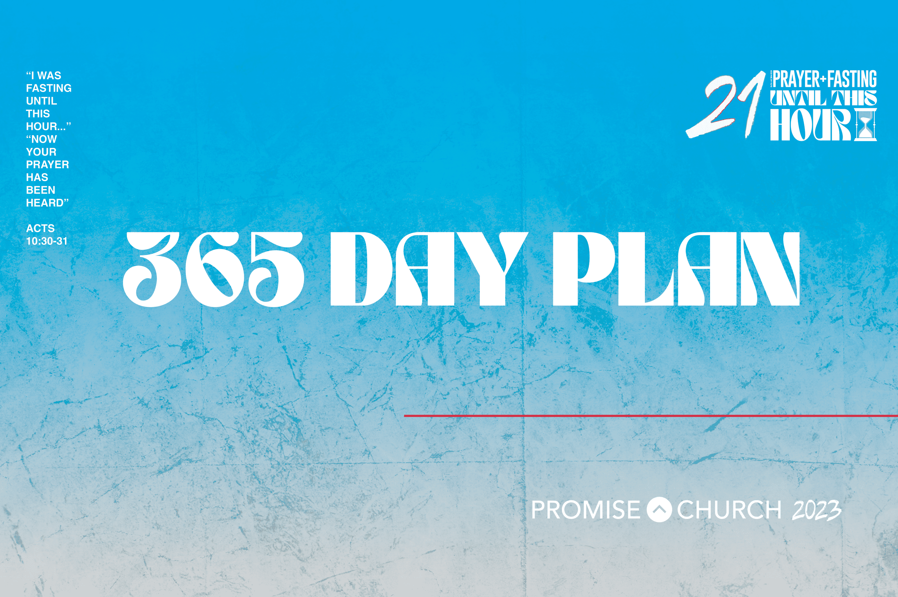 365 day
